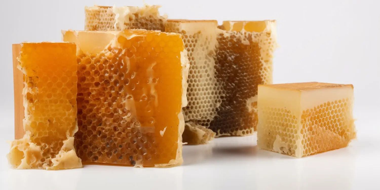 Cykl matki pszczelej