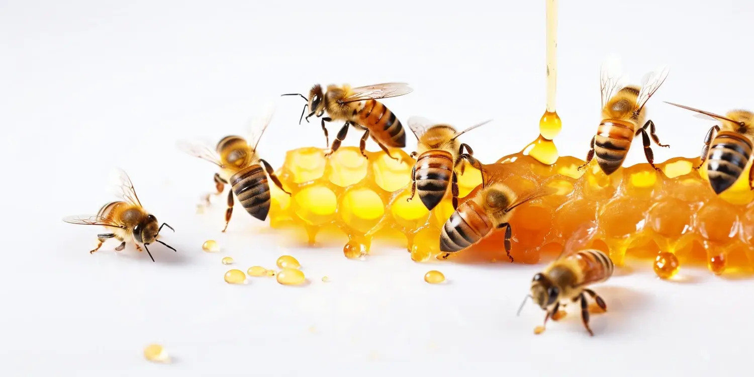 Wykorzystanie miodu wielokwiatowego w kuchni