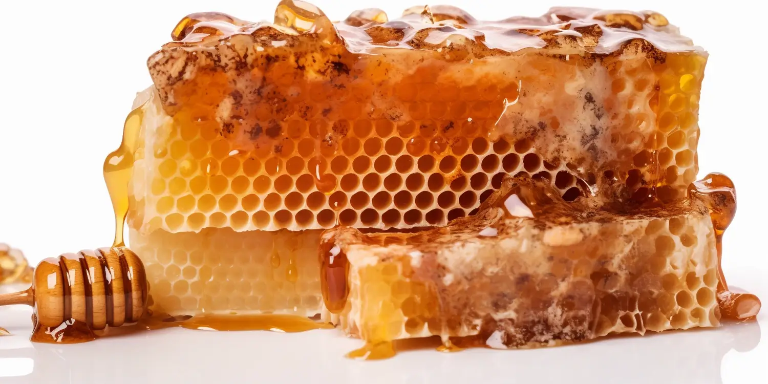 Gdzie można kupić matki pszczele reprodukcyjne?