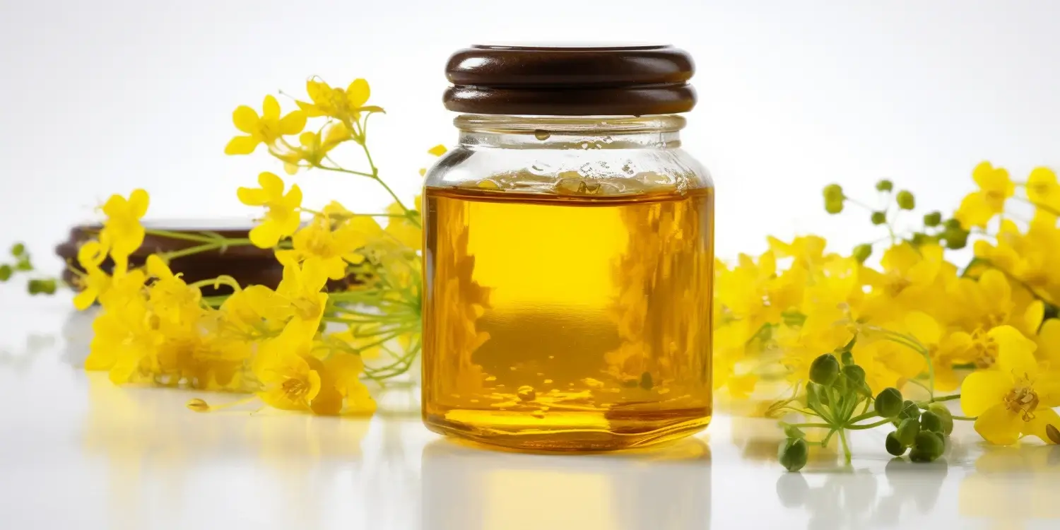 Miód gryczany dlaczego warto go wybrać?