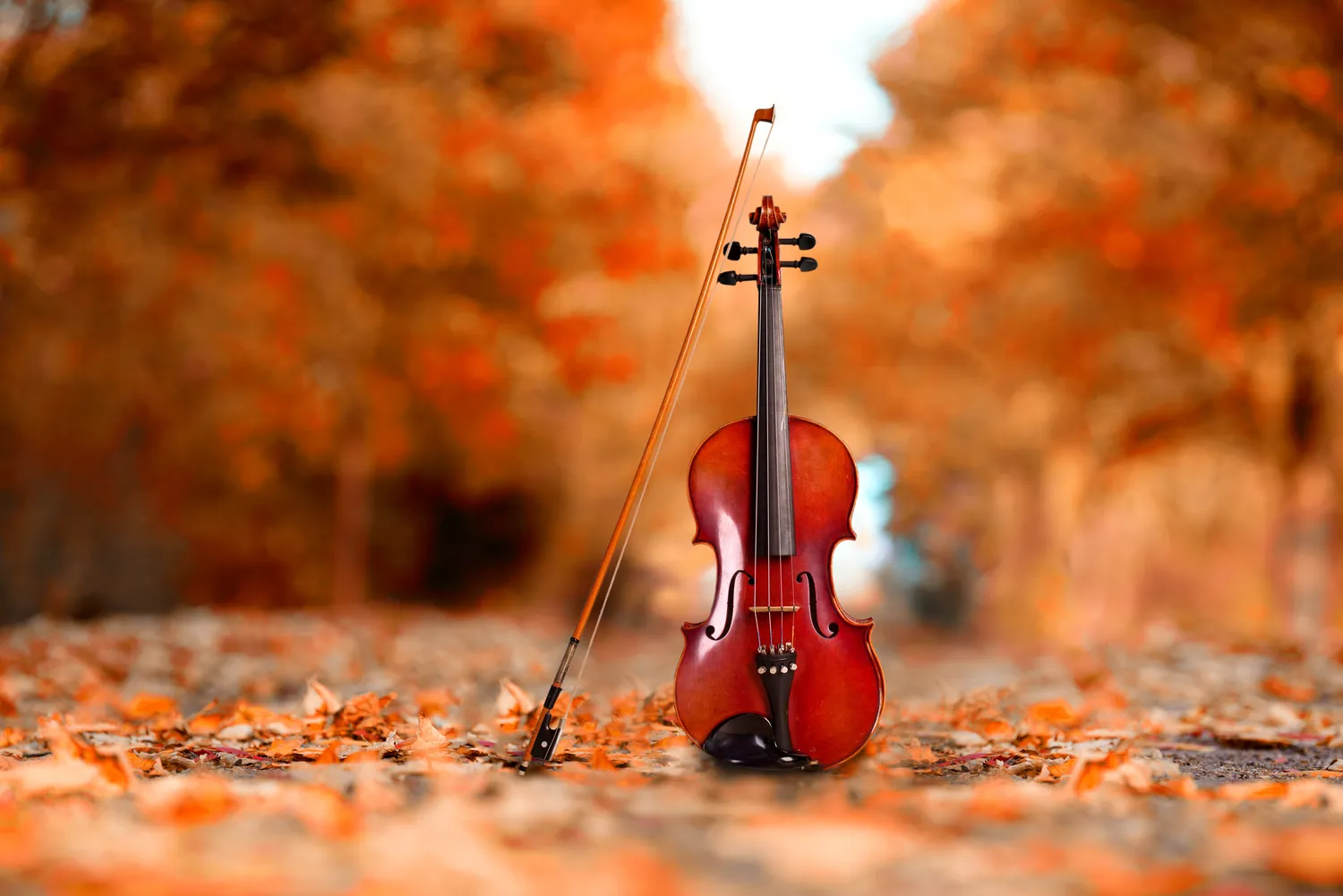 Szkoła specjalna Szczecin